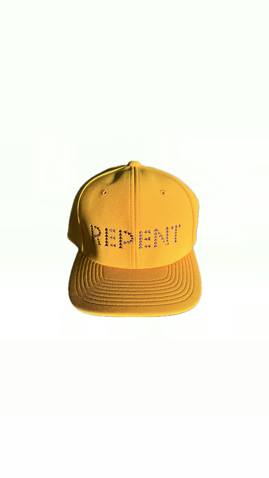 REPENT YELLOW & PURPLE FITTED HAT