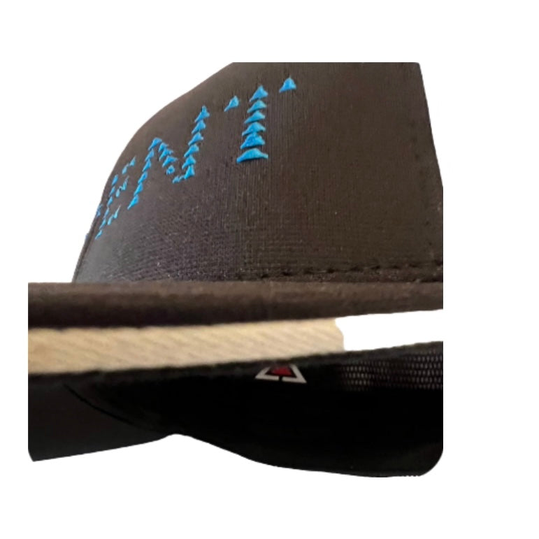 REPENT REFEREE FITTED HAT