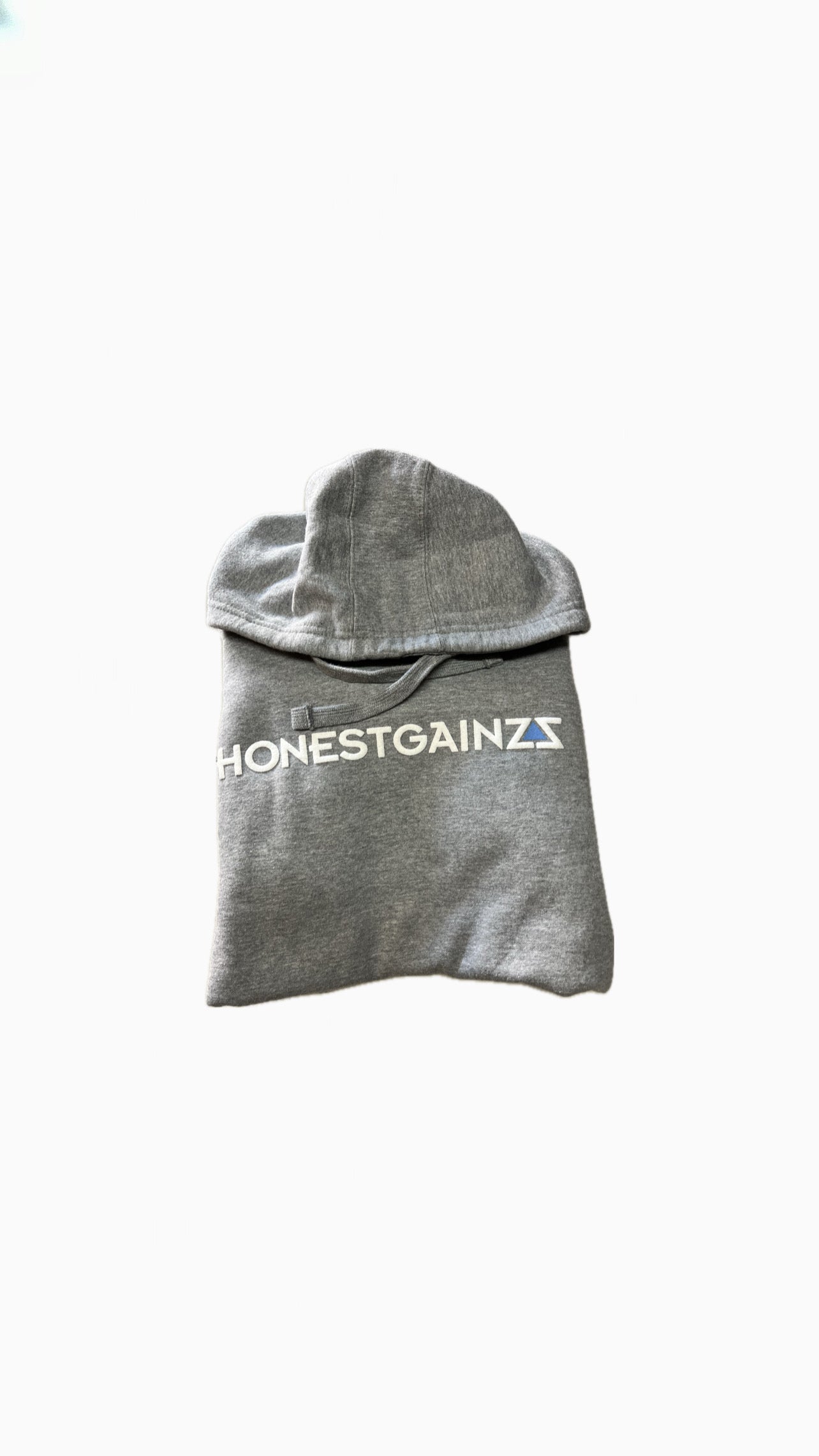 ZZ'D UP HONESTGAINZZ HOODIE