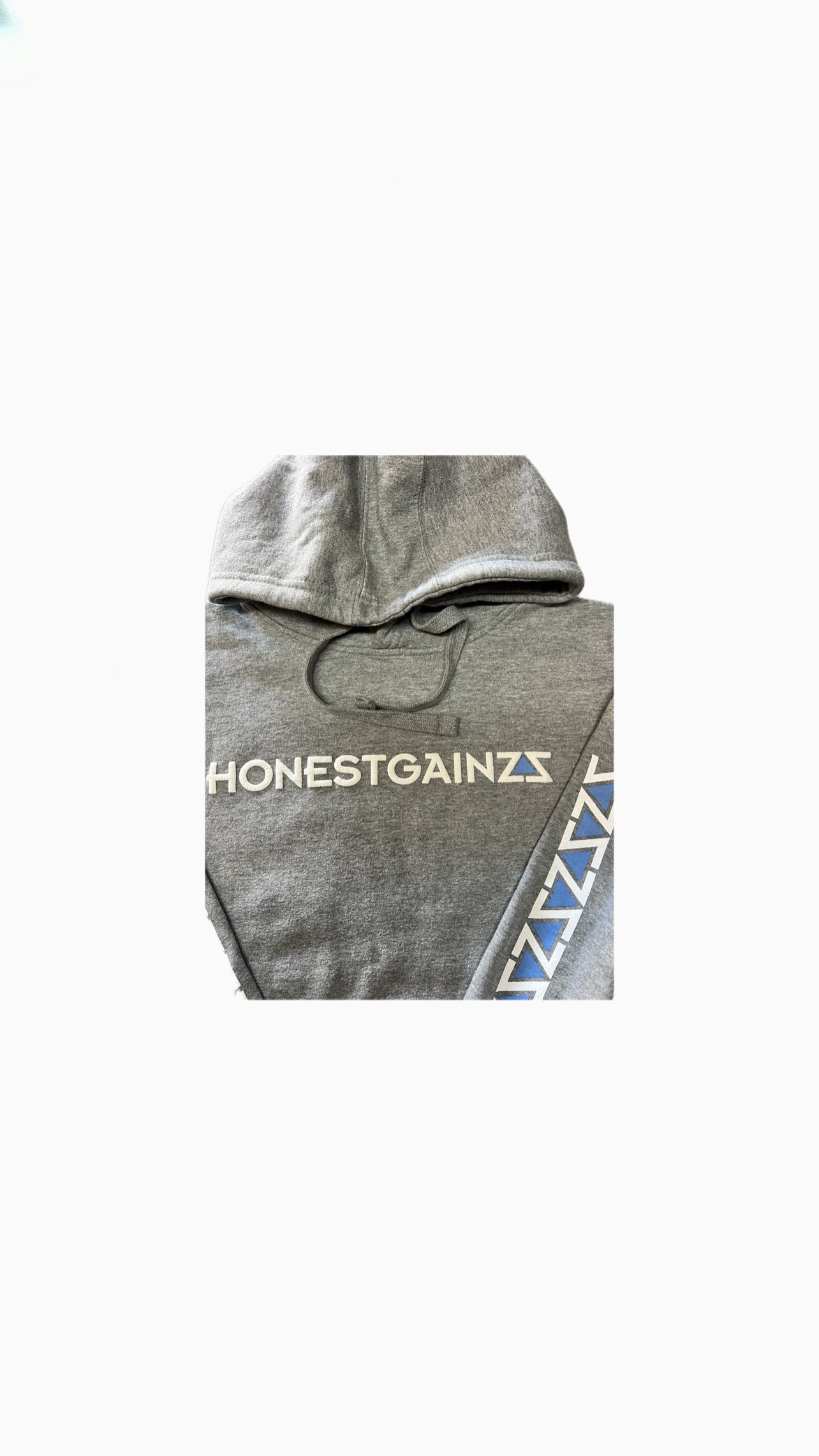 ZZ'D UP HONESTGAINZZ HOODIE