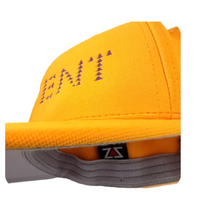 REPENT YELLOW & PURPLE FITTED HAT