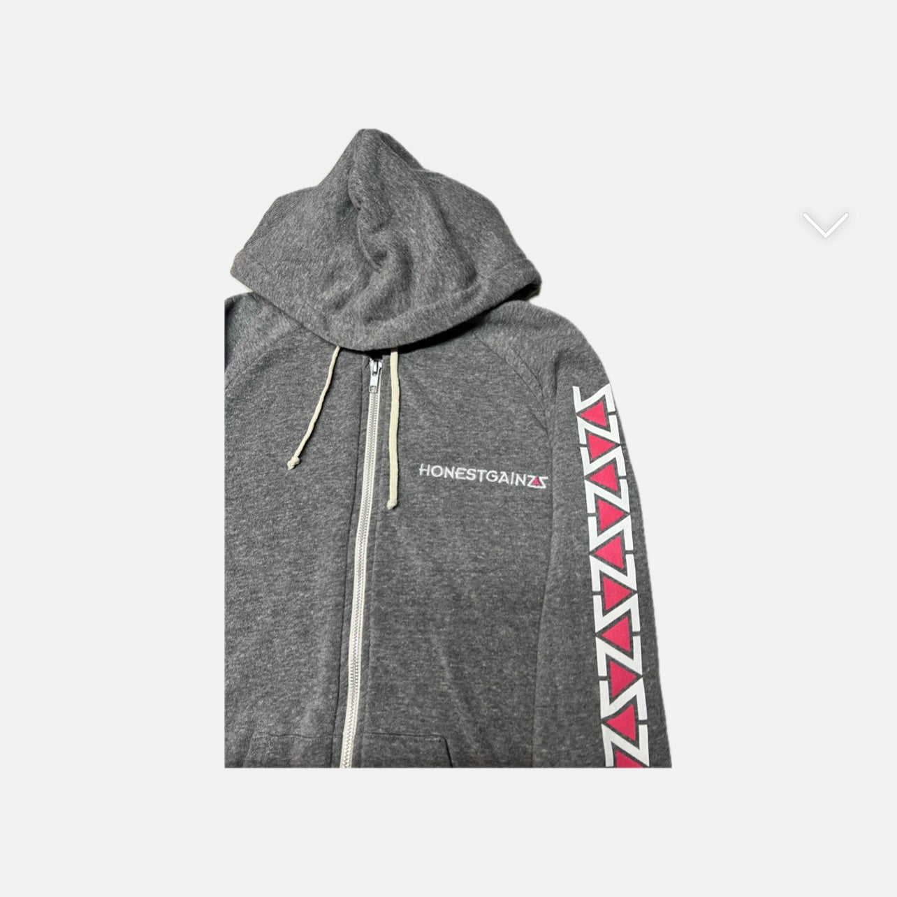 ZZ'D UP ZIP UP HONESTGAINZZ HOODIE