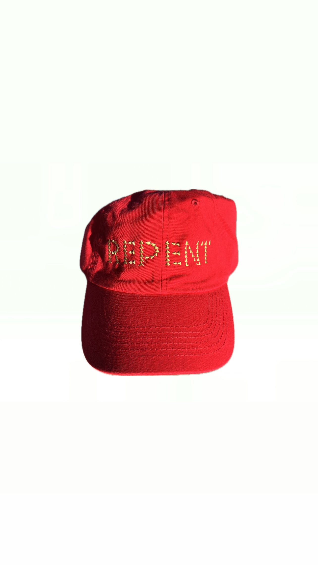 REPENT CLASSIC DAD CAP - SCARLET/GOLD