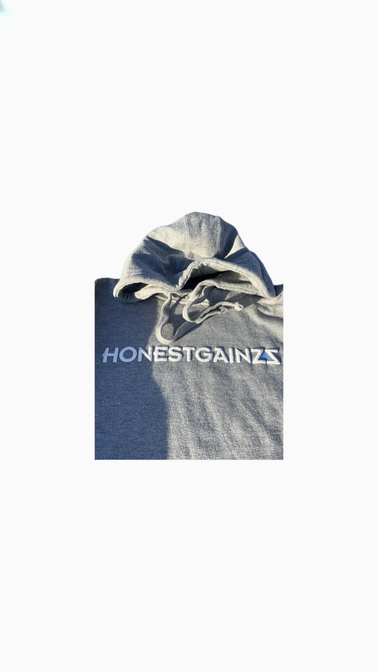 ZZ'D UP HONESTGAINZZ HOODIE